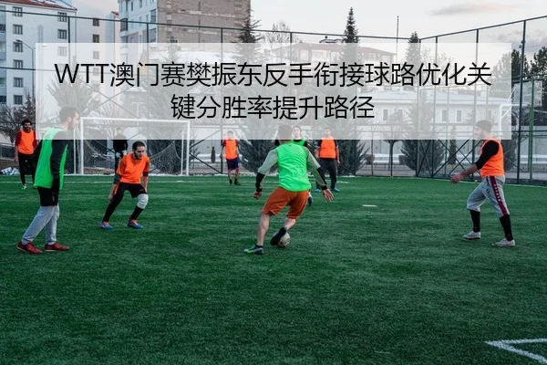 WTT澳门赛樊振东反手衔接球路优化关键分胜率提升路径